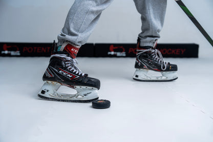 ArcticGlide Skating Synthetic IcePanel (Pro)  (2-pack)