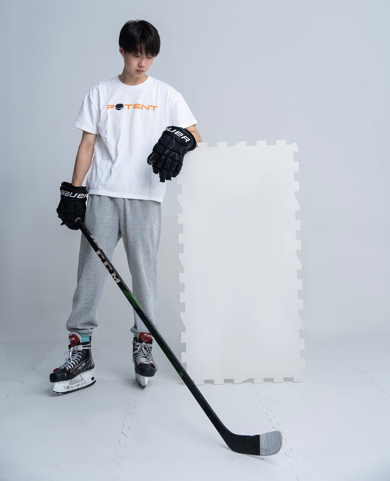 Load image into Gallery viewer, ArcticGlide Skating Synthetic IcePanel (Pro)  (2-pack)
