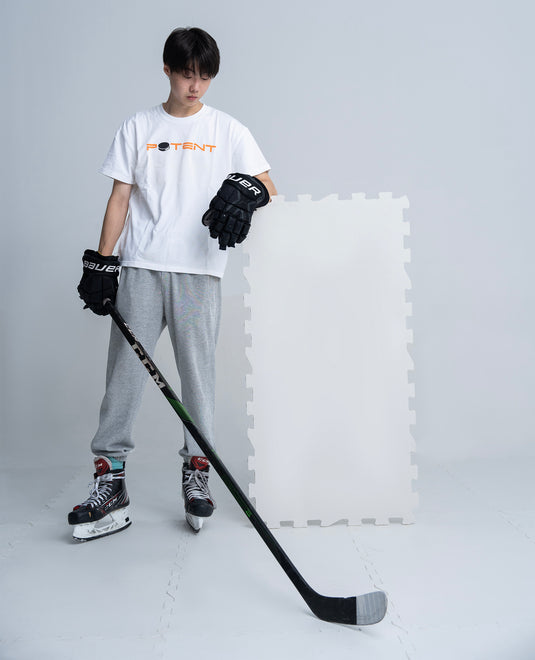 ArcticGlide Skating Synthetic IcePanel (Pro)  (2-pack)